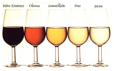 Las Mejores vinos de Jerez